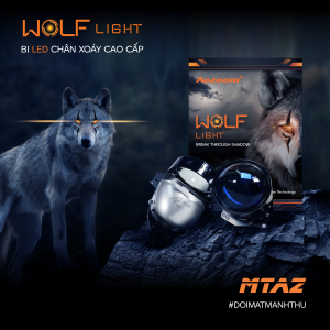 led wolf light